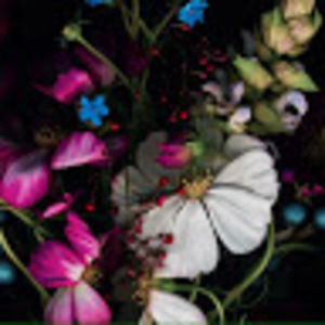 Meet your Posher, Jakaelyn